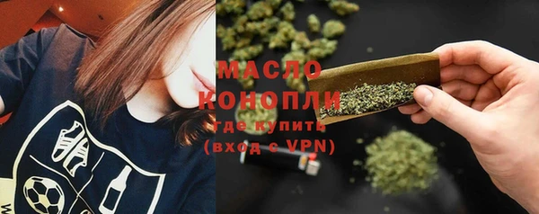 индика Мегион
