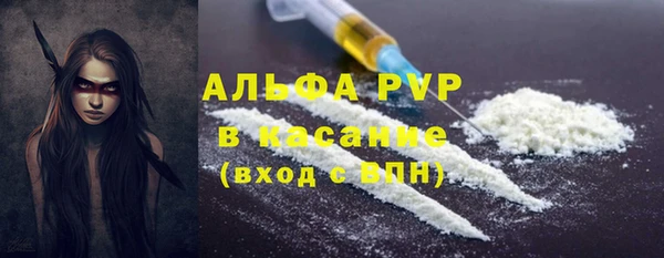 индика Мегион