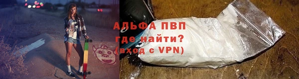 индика Мегион