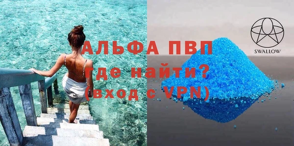 индика Мегион