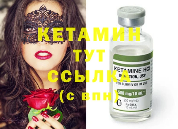 индика Мегион
