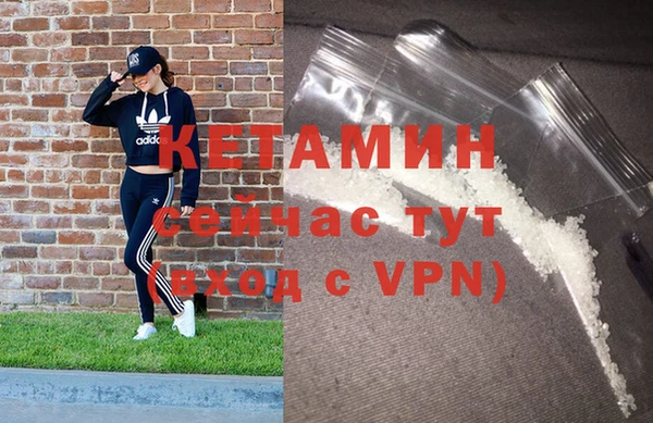 индика Мегион