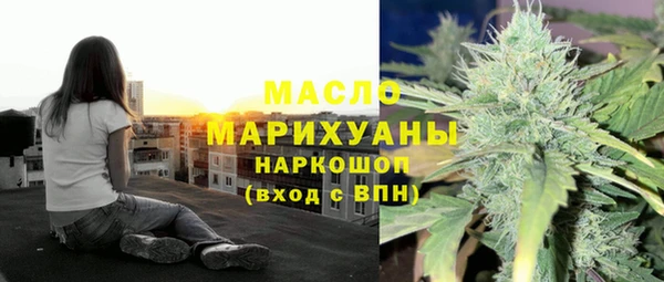 индика Мегион