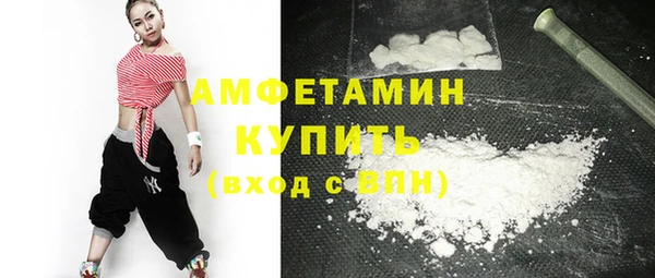 индика Мегион