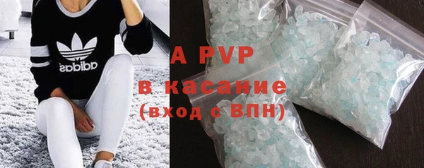индика Мегион