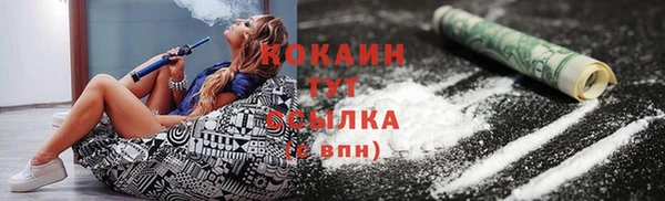 индика Мегион