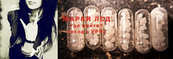 индика Мегион